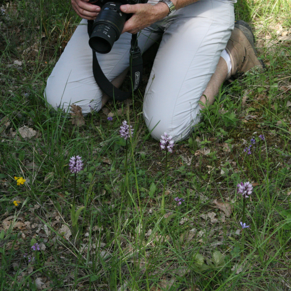 Photographe
